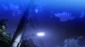 Судьба: Ночь схватки. Клинков бесконечный край (2010)