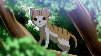 Сцепленные звёздочки (2010)