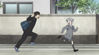 Многоцветье (2010)