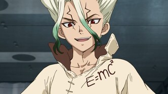 Доктор Стоун (2019)