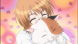 Райская школа (2006)