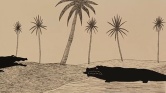 Старый крокодил (2005)