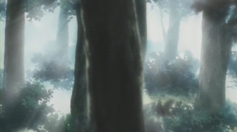 Путешествие Кино (2005)