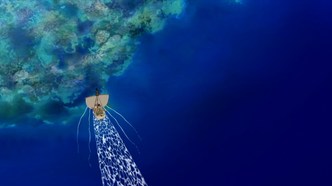 Ван-Пис 6 (2005)