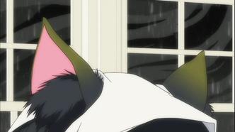 Мария Холик (2009)