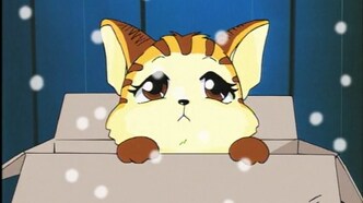 Полосатая кошка Мимэ (1999)