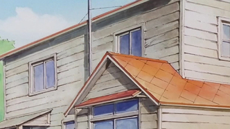 Фигура 17: Цубаса и Хикару (2001)