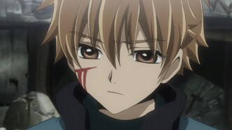 Хроника крыльев (2007)