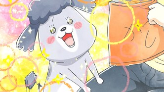 Весёлые дни с кошкой и собакой (2020)