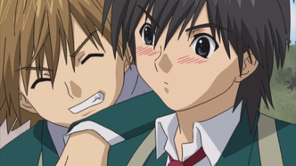 Стопроцентная клубничка (2005)