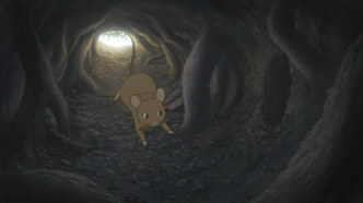 Речной свет (2009)