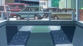 Жгучий взор Шаны (2005)