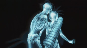 Салюты Эдо (2007)