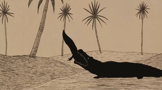 Старый крокодил (2005)