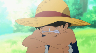 Ван-Пис 3D2Y: Пережить смерть Эйса! (2014)