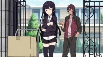 Лис из секретной службы и я (2012)