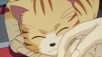 Звёздный флаг (2000)