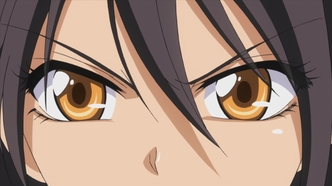 Президент — горничная! (2010)