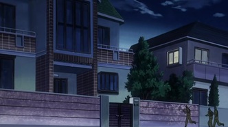 Горничный в маске (2008)