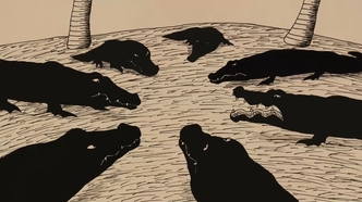 Старый крокодил (2005)