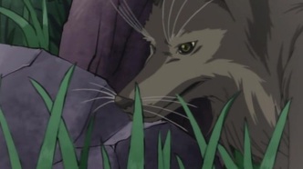 Магический Покан (2006)