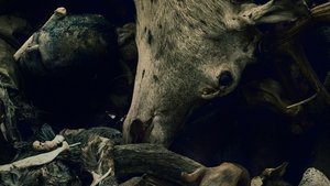 Одербрух (2024)