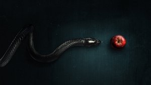 Чрезмерное насилие 2: Стенка на стенку (1995)