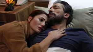 К сокровищам авиакатастрофы (1981)