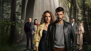 Безграничная любовь (2023)