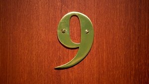 Внутри девятого номера (2014)