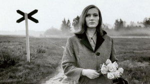 Темные окна (1968)