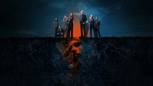 Мыслить как преступник (2005)