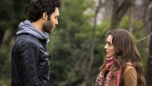 История одной любви (2013)