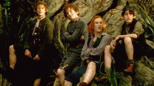 Страна фей (1999)