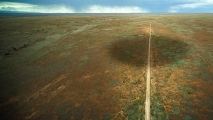 Америка: История о нас (2010)