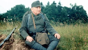 Похождения бравого солдата Швейка (1972)