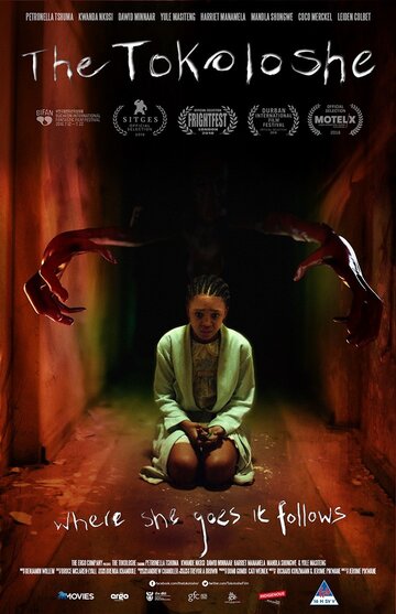 «Токолоши»