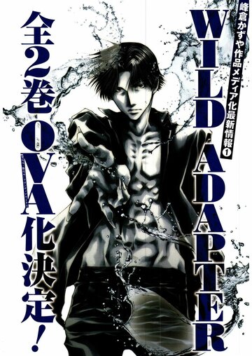 Аниме «Дикий адаптер»