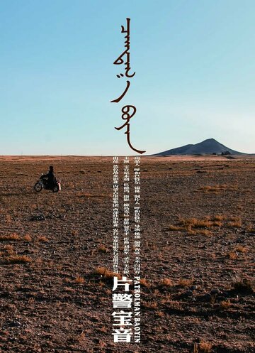 «Патрульный Баоинь»