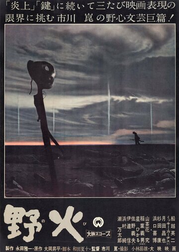 «Полевые огни»