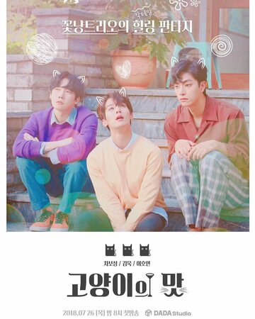 «Кошачий бар»