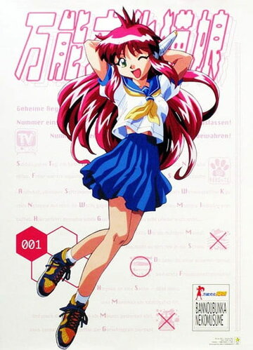 Аниме «Универсальная современная девушка-кошка»