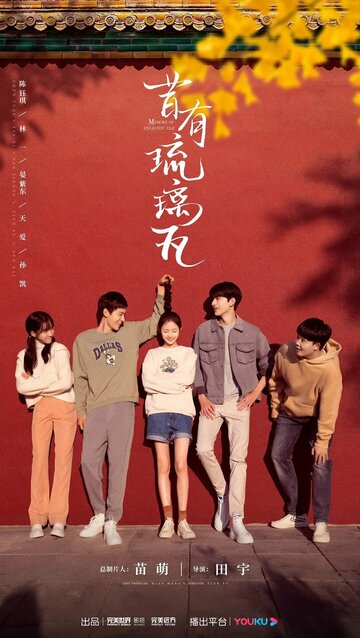 «Глазурованная плитка»