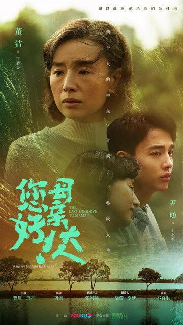 «Последнее прощание с мамой»