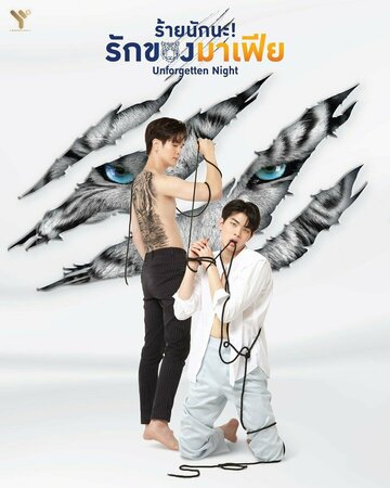 «Незабываемая ночь»