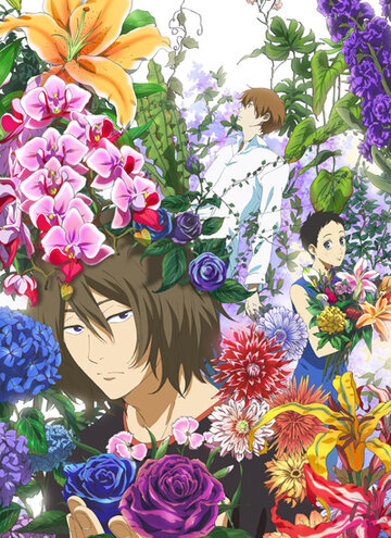 Аниме «Встреча снежным летом»